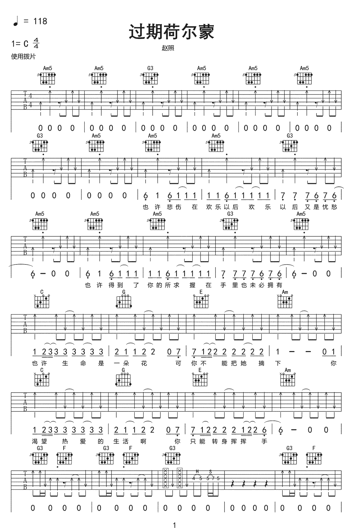 过期荷尔蒙吉他谱1-赵照